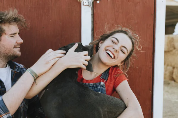 Happy Dog Greeting His Owners — Stock Photo, Image