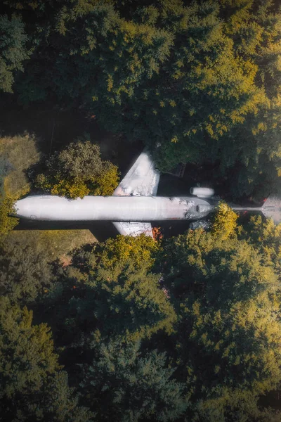 Aereo Nel Bosco Hillsboro Oregon Usa — Foto Stock