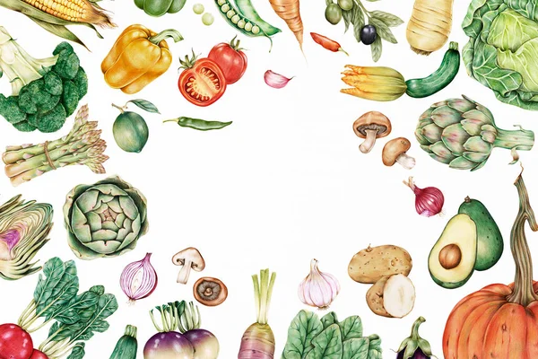 Colección Verduras Dibujadas Mano Con Espacio Diseño — Foto de Stock