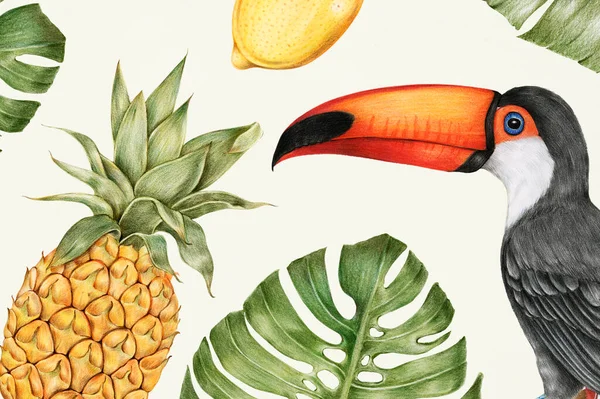 Ilustração Frutos Tropicais Desenhados Mão — Fotografia de Stock