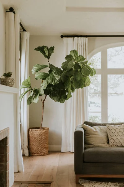 Simple Living Room Interior — Stock Photo, Image