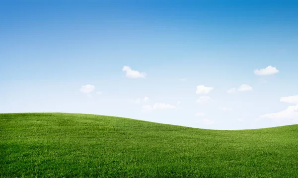 Травянистые Равнины Облачным Небом — стоковое фото