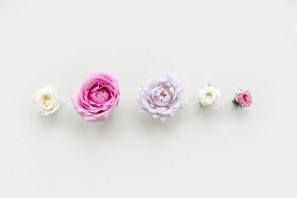Kwitnące Kolorowe Kwiaty Tło Projektu — Zdjęcie stockowe