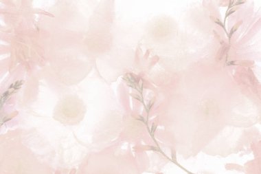 Pembe çiçekli şakayık arkaplanı