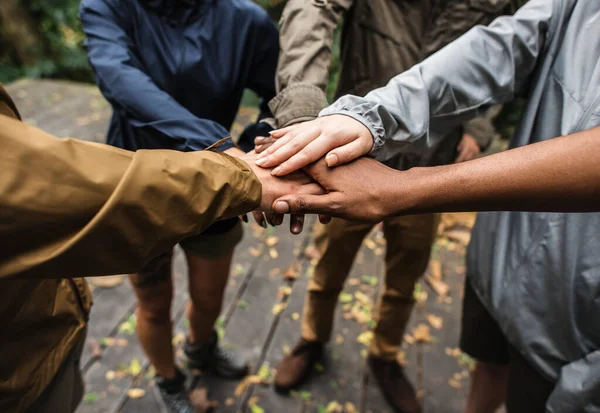 Esercizio Team Building All Aperto Nella Foresta — Foto Stock