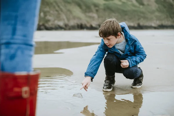 Anak Muda Menunjuk Pada Ubur Ubur Pantai — Stok Foto