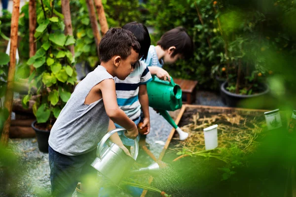 Anak Anak Taman Pengalaman Dan Ide — Stok Foto