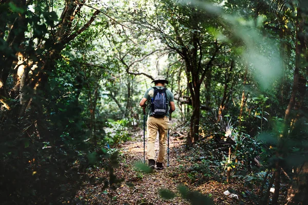 Férfi Trekking Erdő — Stock Fotó