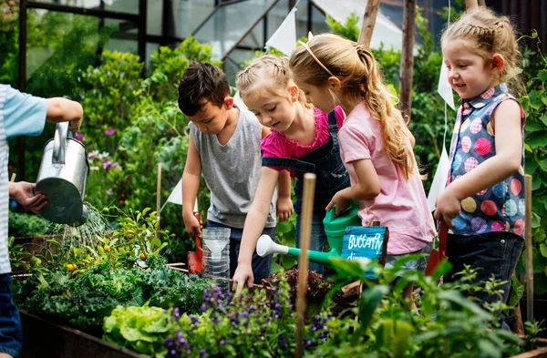 Grupo Niños Jardín Infantes Que Aprenden Jardinería Aire Libre — Foto de Stock