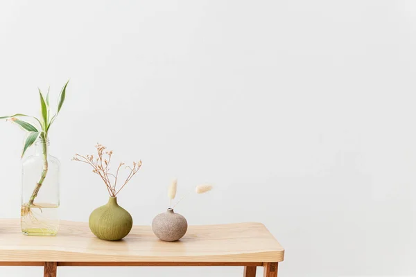 Zimmerpflanzen Auf Einem Holztisch — Stockfoto