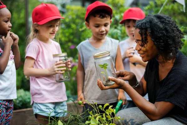 Lehrer Und Kinder Lernen Ökologische Gartenarbeit — Stockfoto