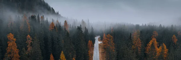 Drohnenblick Auf Einen Nebligen Nadelwald Herbst — Stockfoto