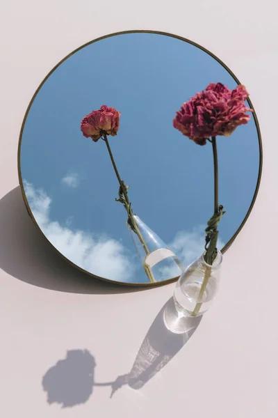 Сушёный Розовый Пионский Цветок Прозрачной Вазе Отражённый Зеркале — стоковое фото