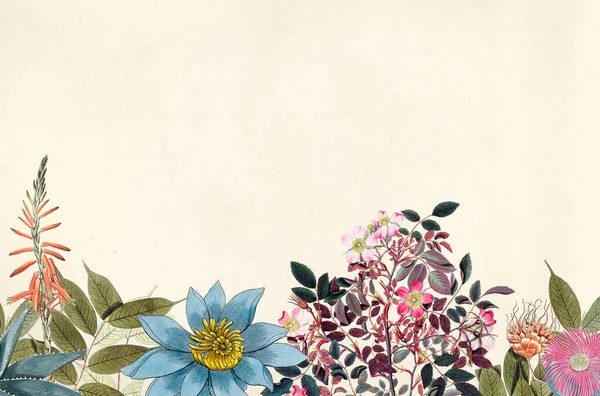 Illustration Antique Mélange Floral — Photo