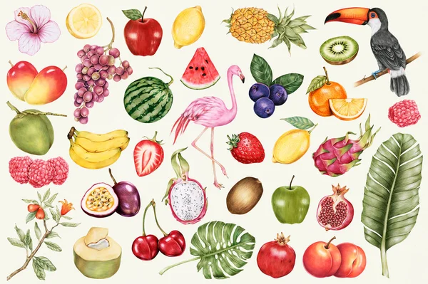 Hand Drawn Tropical Fruits Patterned Background Illustration — Stock Photo, Image