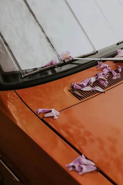 Πεσμένα Ροζ Άνθη Στο Καπό Ενός Παλιού Αυτοκινήτου — Φωτογραφία Αρχείου