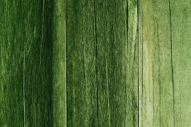 Alan yeşil ahşap desenli duvar kağıdı tasarla