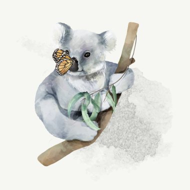 Bir bebek koala tasviri
