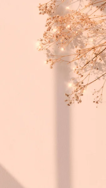 Сухе Квіткове Вікно Тінь Квіткового Фону — стокове фото