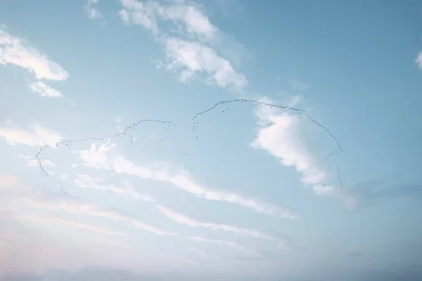 苏格兰格伦科伊天空中成群的鸟儿 — 图库照片