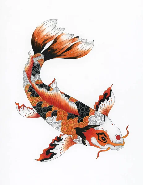 Japanese Koi Adult Coloring Page — Stock Photo, Image