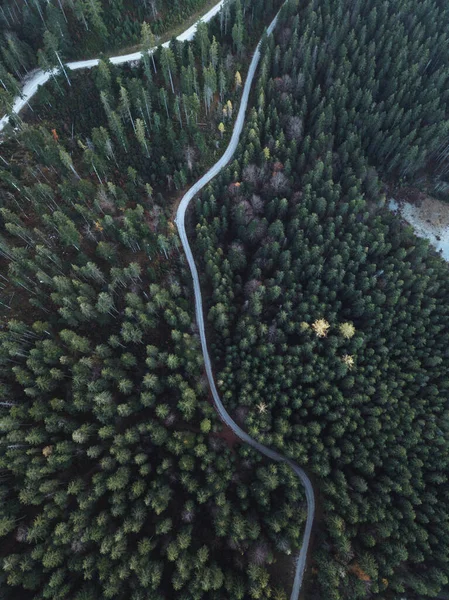 Drone Shot Eibsee Lake Germany — Stock Photo, Image