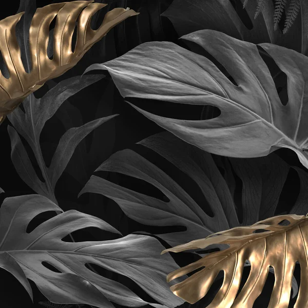 Feuilles Monstera Deliciosa Dorées Noires — Photo