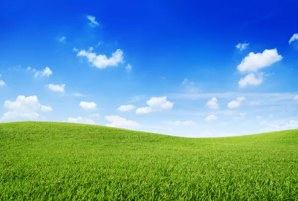 Colina de grama verde e céu azul claro — Fotografia de Stock