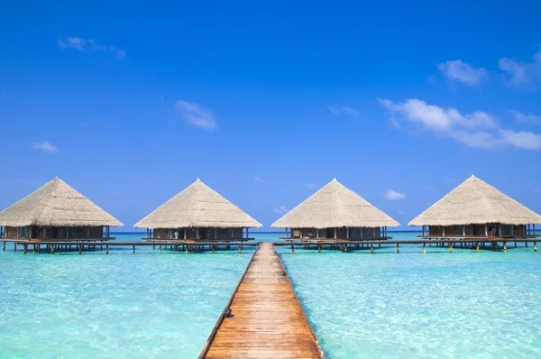 Muelle en Maldivas con agua clara — Foto de Stock
