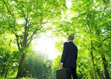 doğada ağaçları arasında işadamı