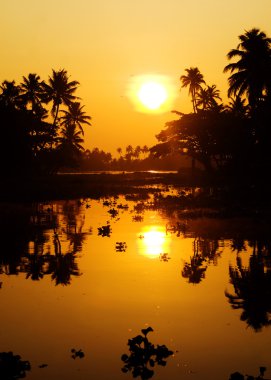 doğal güneş ayarı