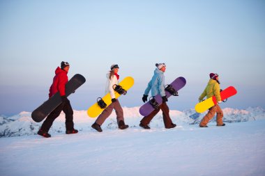 snowboard grubu