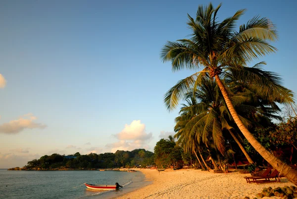 Tropical beach — Stock Photo, Image