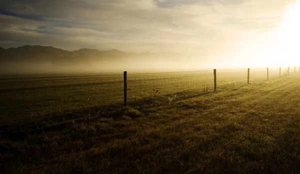 Field covered with fog — Stock Photo, Image