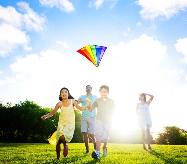 Aile açık havada uçurtma oynamak — Stok fotoğraf