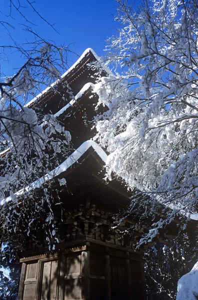 Hó fedett pagoda — Stock Fotó