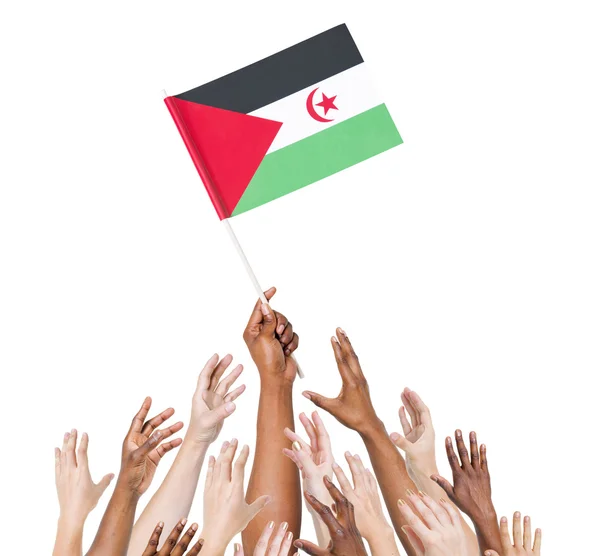 Lidé drží vlajka republiky ze Sahary — Stock fotografie
