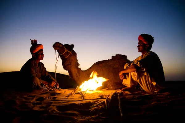 Hombres por bon fire con camello —  Fotos de Stock