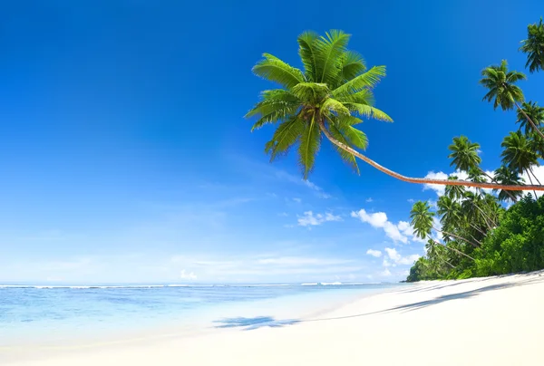 Vackra natursköna stranden — Stockfoto