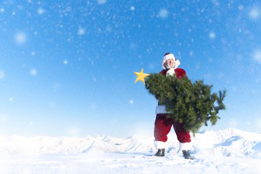 Noel Baba taşıyan yılbaşı ağacı