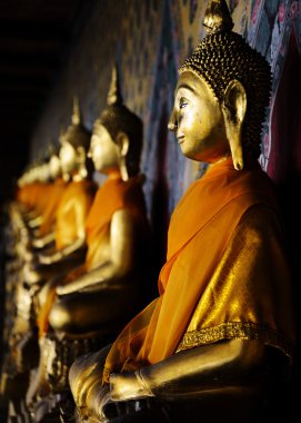 Buda wat arun