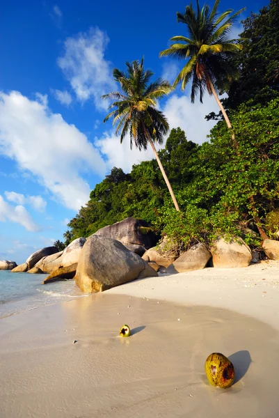Malaysiska beach — Stockfoto