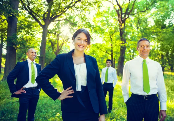 Business team in the forest — Stock Photo, Image