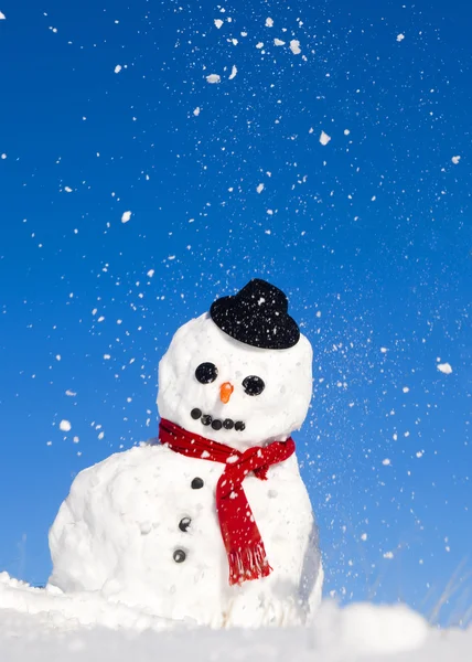 Pupazzo di neve con sciarpa e cappello — Foto Stock