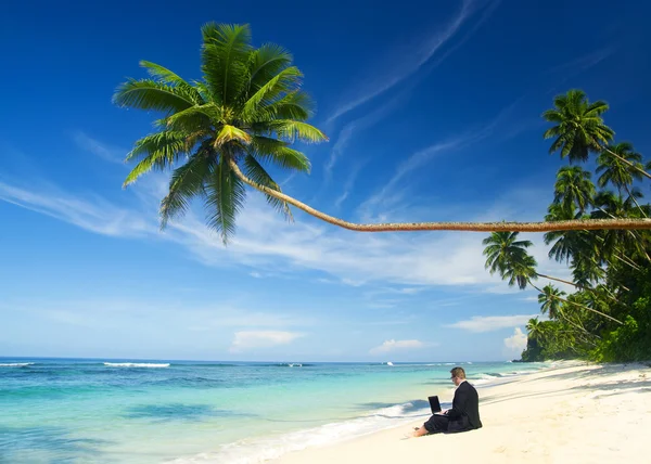 Affärsman som arbetar på stranden — Stockfoto