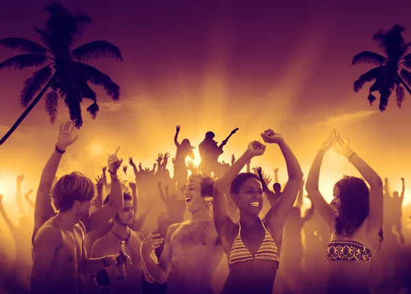 People Having Fun in an Concert — Stock Photo, Image