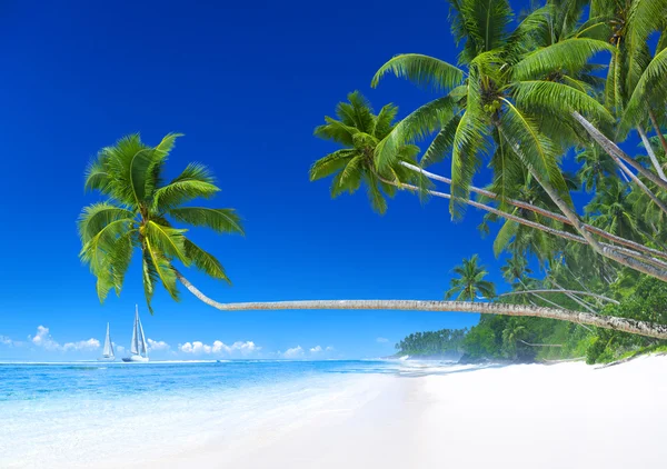 Tropisch strand met zeilboot — Stockfoto