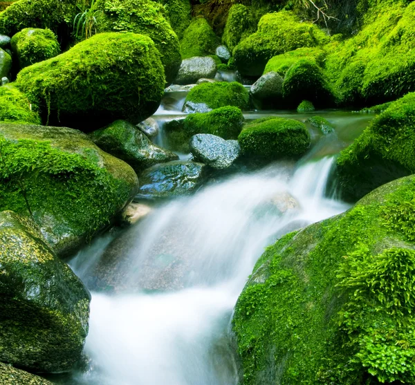 Cascading καταρράκτη — Φωτογραφία Αρχείου