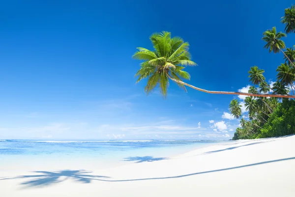 Prachtige schilderachtige strand — Stockfoto