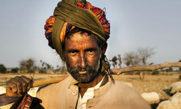Uomo indiano gregge di pecore — Foto Stock